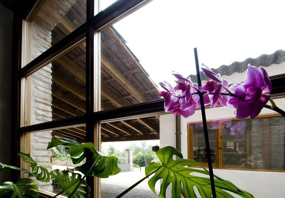 Hotel Moli De La Torre Bigues I Riells エクステリア 写真